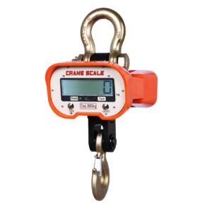Electronic Crane Scale